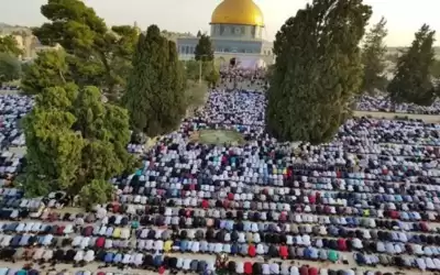 50 ألفا يؤدون صلاة الجمعة في