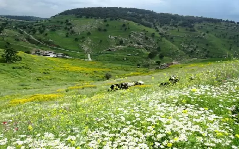 الطبيعية الخضراء تجذب آلاف المتنزهين إلى