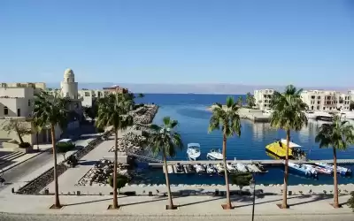 توقع تطور كبير في عدد زائري