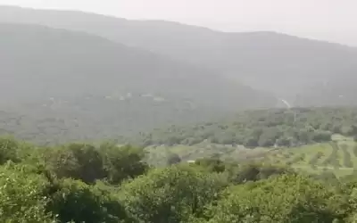 إعادة تأهيل 100 دونم من الأراضي