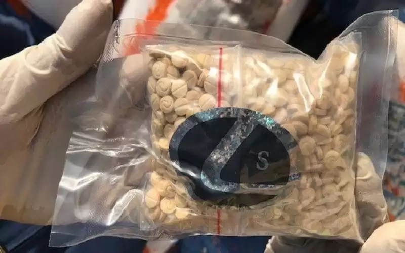 لبنان يحبط تهريب مخدرات إلى السعودية