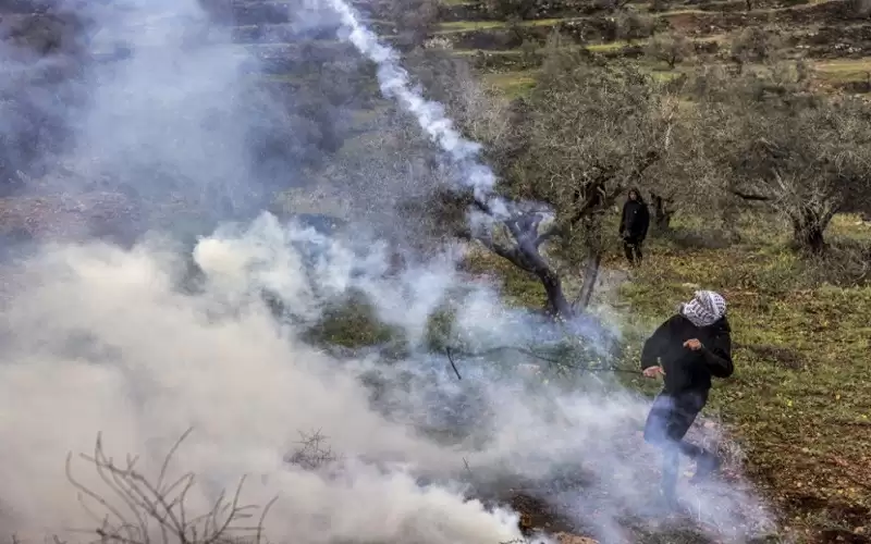إصابة عدة فلسطينيين جراء قمع الاحتلال
