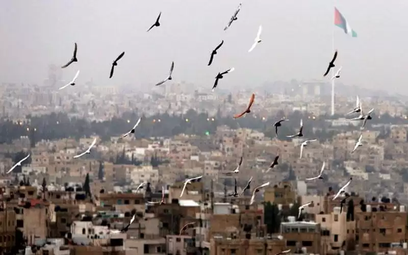 أجواء لطيفة الحرارة نهارا وباردة ليلا