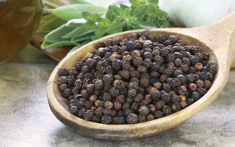 هل يساعد الفلفل الأسود بتقليل السكري؟