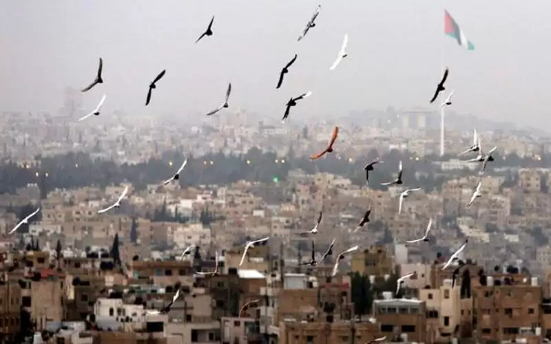 طقس لطيف في أغلب مناطق المملكة