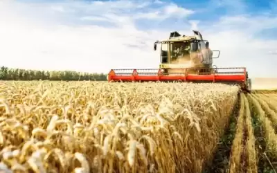 العراق يخطط لاستيراد 3 ملايين طن