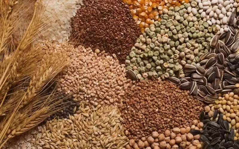 اوكرانيا تحظر تصدير عدد من الحبوب