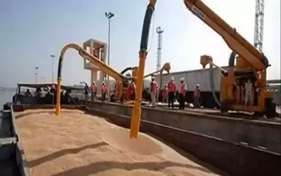 الصناعة والتجارة: الأردن لم يستورد قمحا