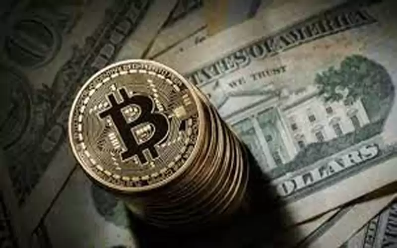 ارتفاع جماعي للعملات المشفرة.. . ملاذ