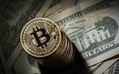 ارتفاع جماعي للعملات المشفرة.. . ملاذ