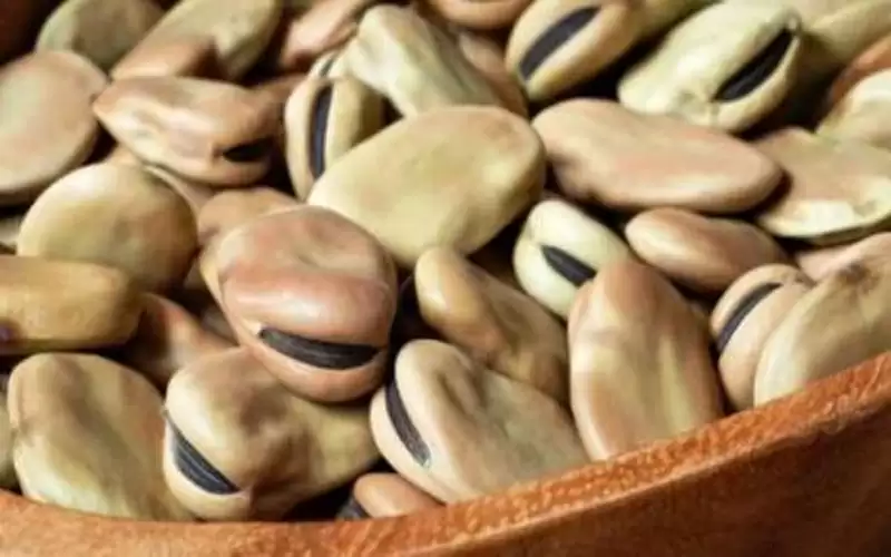 مصر تقرر وقف تصدير الدقيق والمكرونة