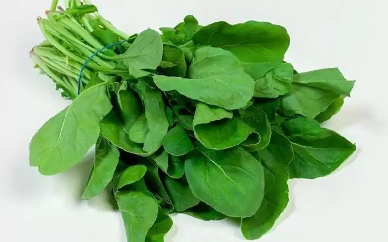 فوائد الجرجير للبشرة.. لن تخطر في