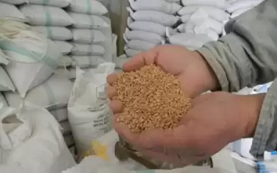 روسيا تفرض حظرا مؤقتا على تصدير