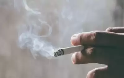 حرق التبغ هو المصدر الرئيس للمواد