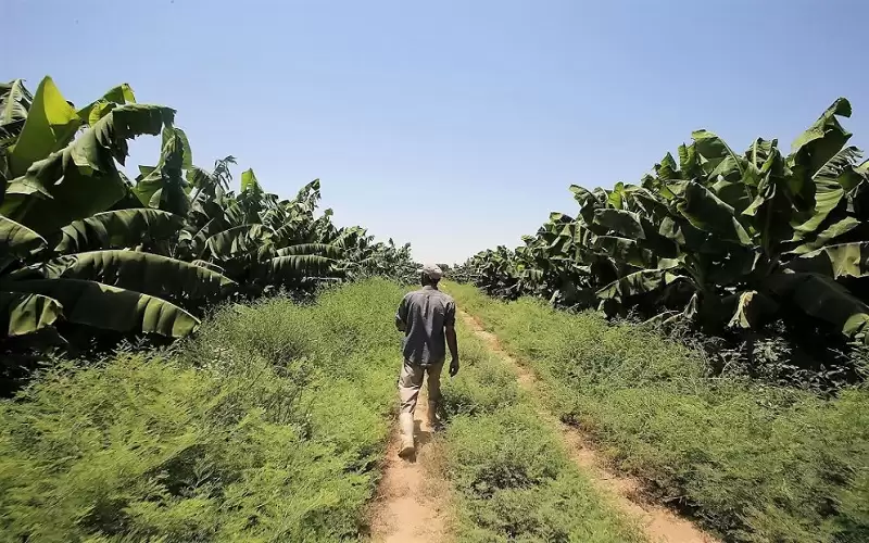 تأجيل أقساط شهر نيسان المستحقة للإقراض