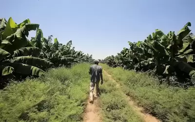 تأجيل أقساط شهر نيسان المستحقة للإقراض
