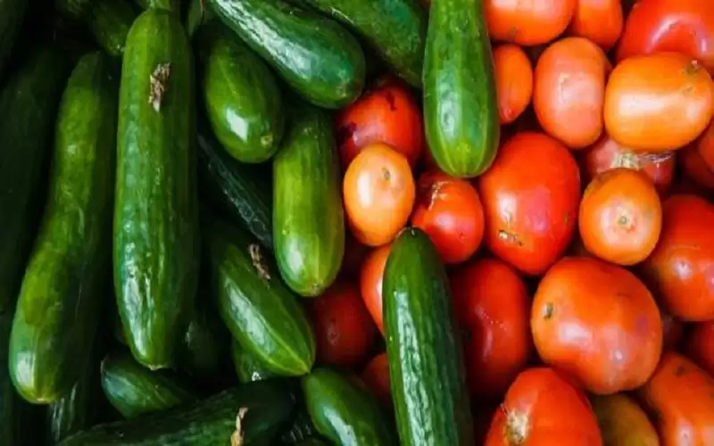 ارتفاع أسعار الخيار والبندورة مؤقت سببه