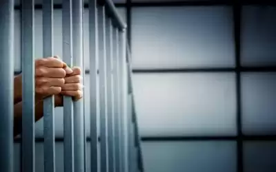 حبس مستثمر ادخل 42 طن معسل