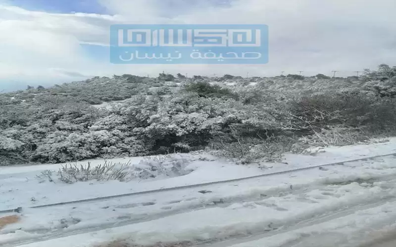 تعليق الدوام الوجاهي في مدارس عجلون