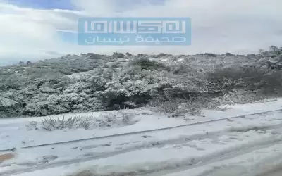 تعليق الدوام الوجاهي في مدارس عجلون
