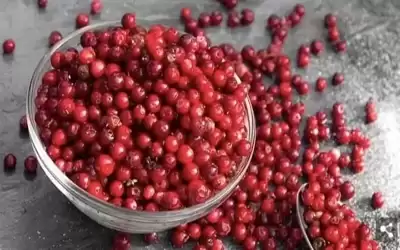 تناول 100 جرام من التوت البري