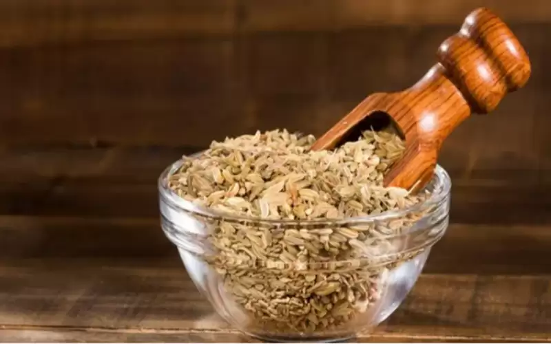 فوائد الشمر للمرضع وللطفل