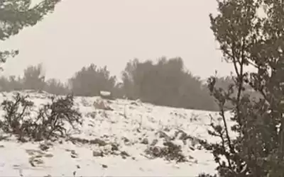 تساقط كثيف للثلوج في مرتفعات جرش