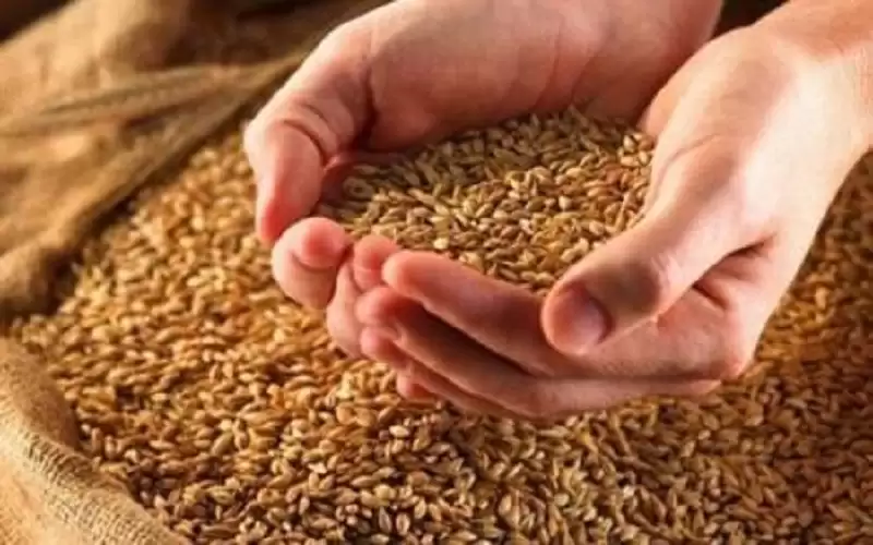 دول قد تشهد كارثة غذائية بسبب