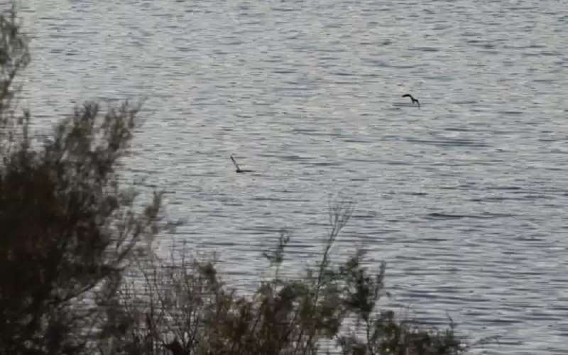 المياه: مخزون السدود الكلي نحو 91