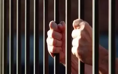 حبس موظف 5 سنوات حاول الاحتيال
