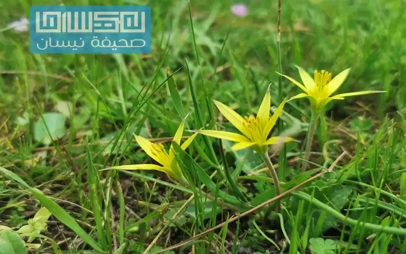 أجواء دافئة في أغلب مناطق المملكة