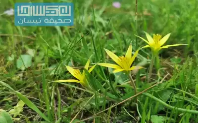 أجواء دافئة في أغلب مناطق المملكة