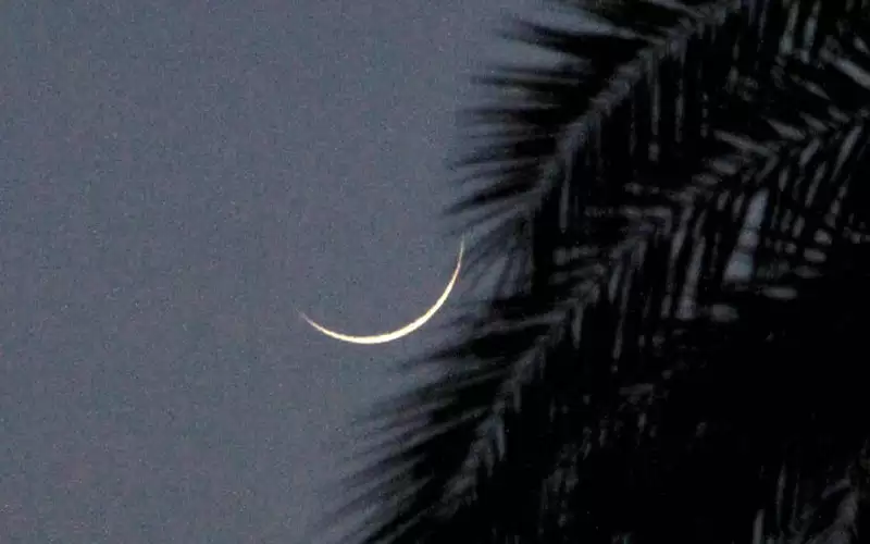 معهد الفلك في مصر: غدا أول