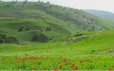 أجواء دافئة في المرتفعات الجبلية والسهول