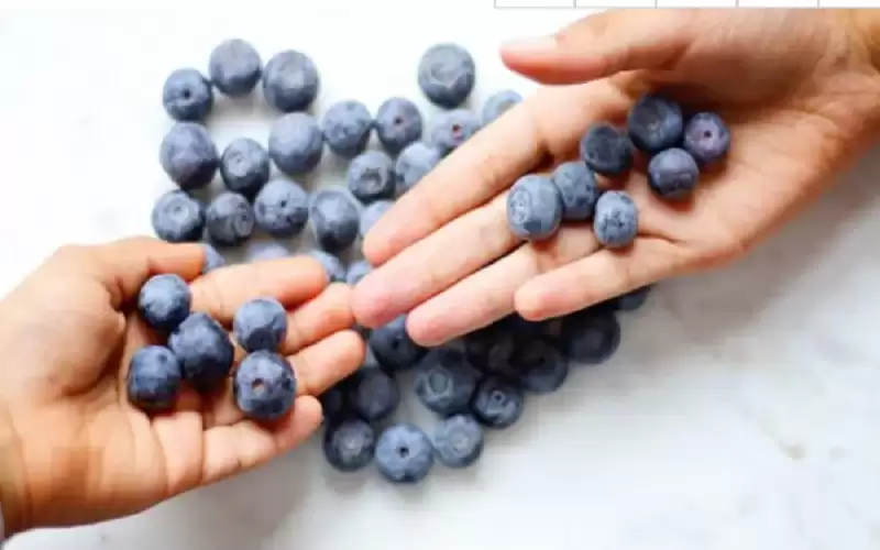 التوت الأزرق لخفض ضغط الدم