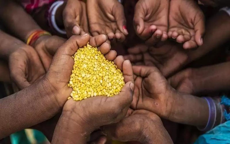 خبير يحذر من أزمة غذائية عالمية