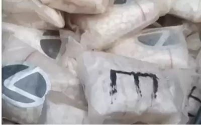 ضبط 209 آلاف حبة مخدرة بالقرب