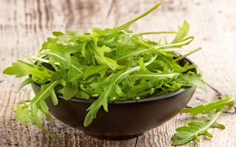 فوائد الرشاد الأخضر لا حصر لها