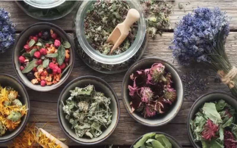 إيجابيات وسلبيات طب الأعشاب