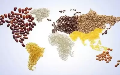 الأردن السابع عربيا بمؤشر الأمن الغذائي