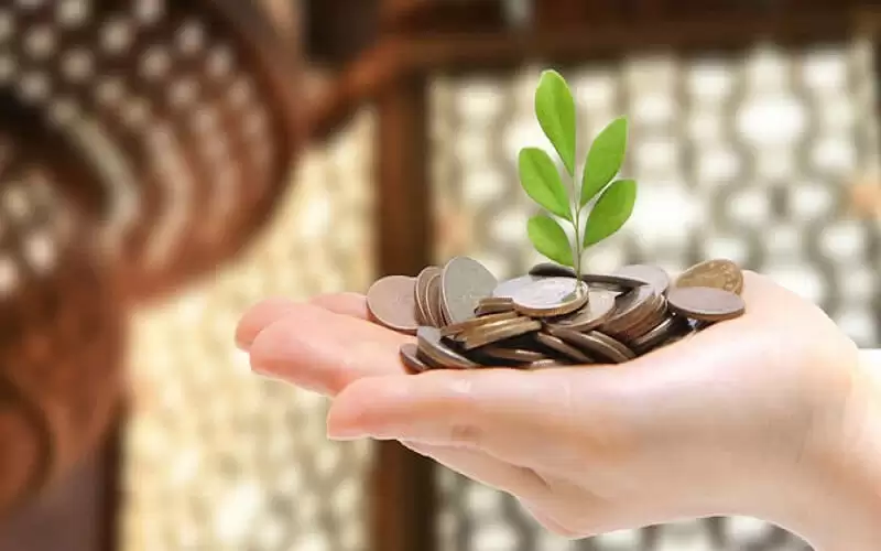 الافتاء تقدر زكاة الفطر الواجبة بـ