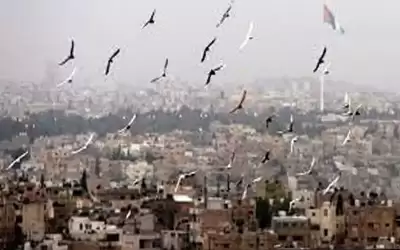 أجواء دافئة في المرتفعات وحارة نسبيا