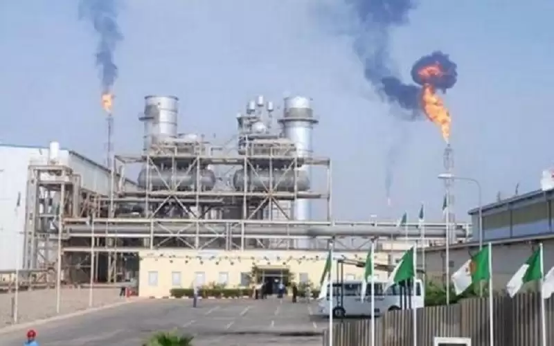 بلومبيرغ: الجزائر عازمة على زيادة صادراتها