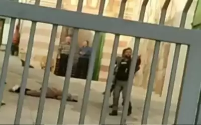 الثانية اليوم .. شهيدة برصاص الاحتلال