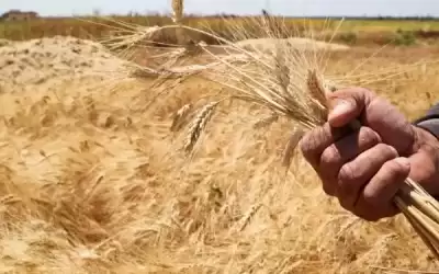 الأردن يقر خطة من 4 محاور