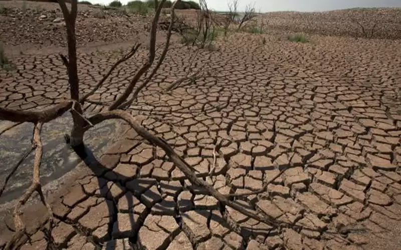 المغرب يتوقع خسارة 53% من محصول