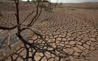 المغرب يتوقع خسارة 53% من محصول
