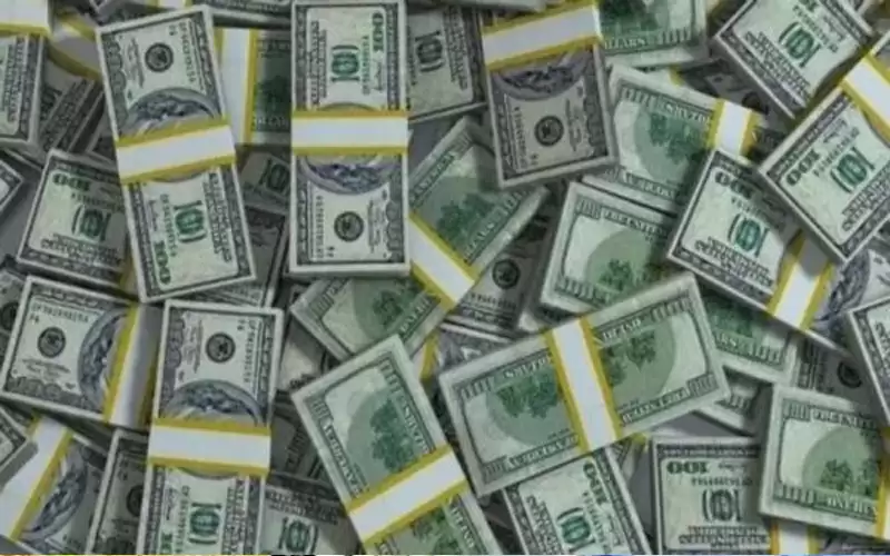 صدفة تمنح صاحبتها 10 ملايين دولار