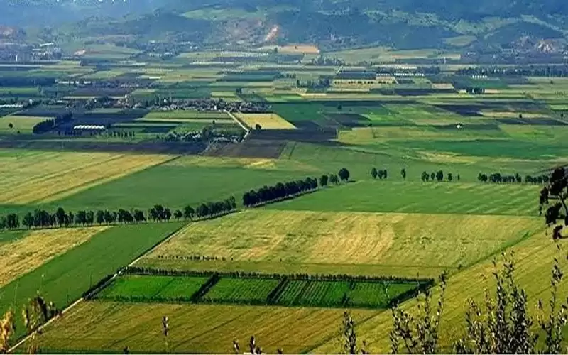 الجزائر الأولى إفريقيا في الأمن الغذائي