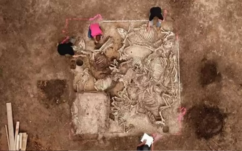 العثور على قبر عمره آلاف السنين